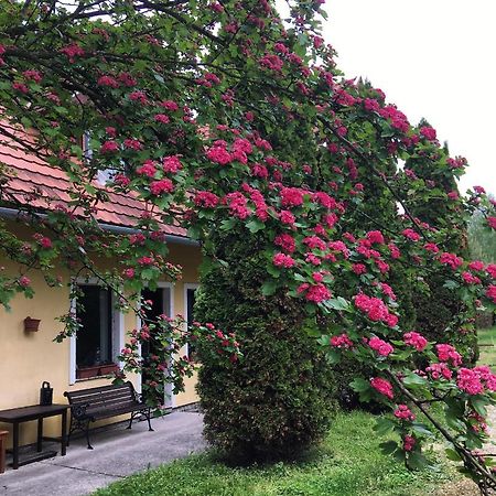 Hotel Bakonyi Kemencésház Bakonybél Esterno foto