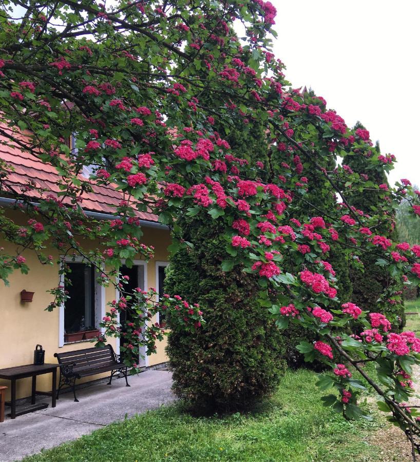 Hotel Bakonyi Kemencésház Bakonybél Esterno foto